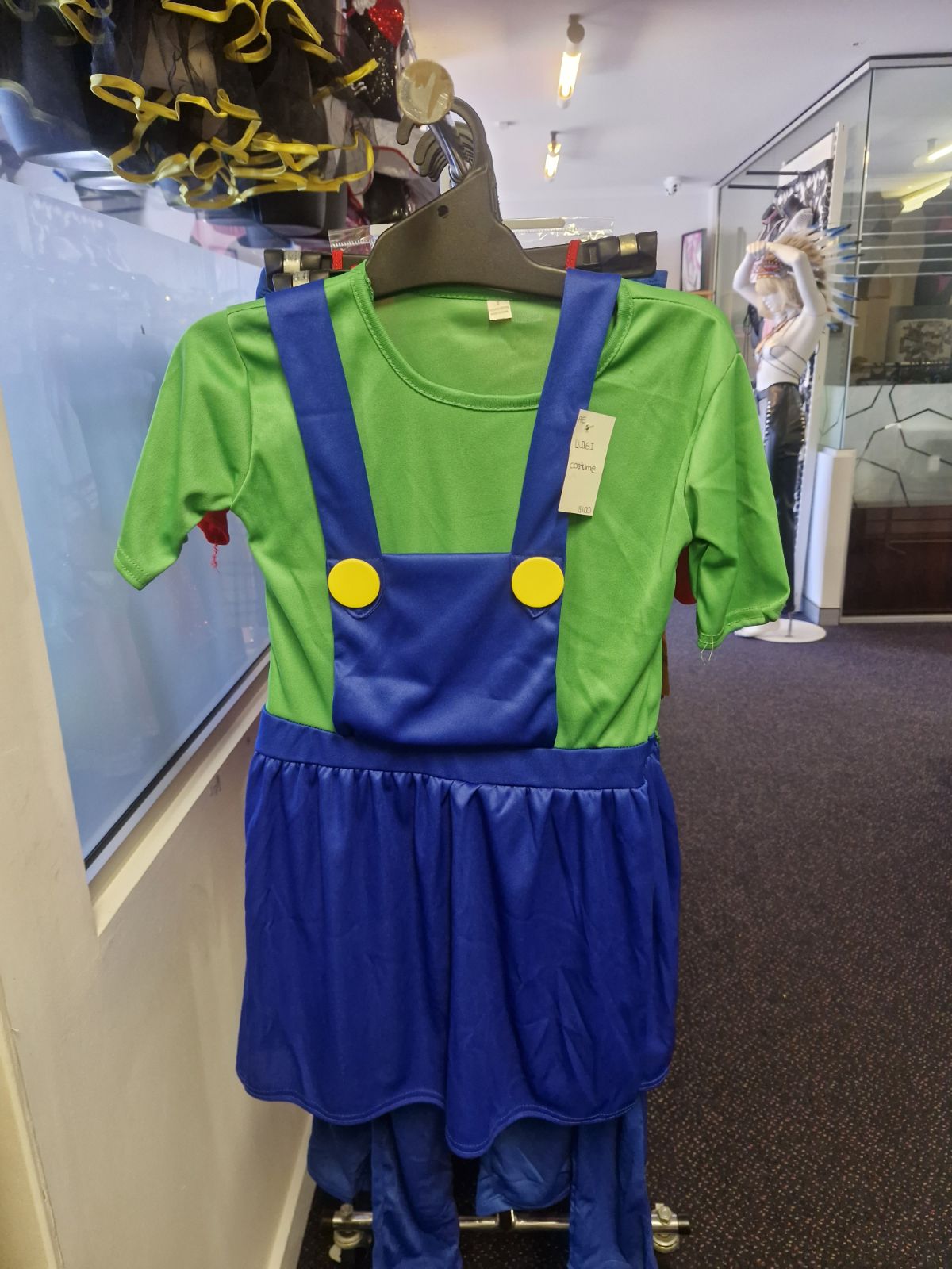 Mario And Luigi Costume