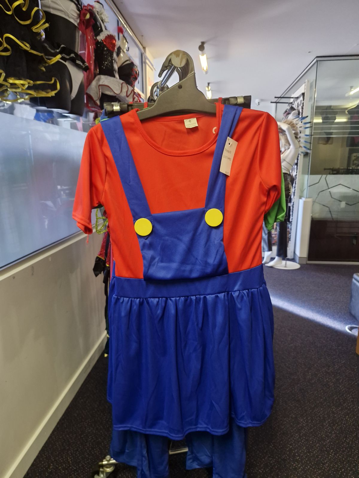 Mario And Luigi Costume