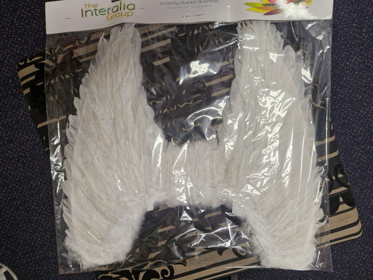 Feather Coastume Angel Wings available in Black or White
